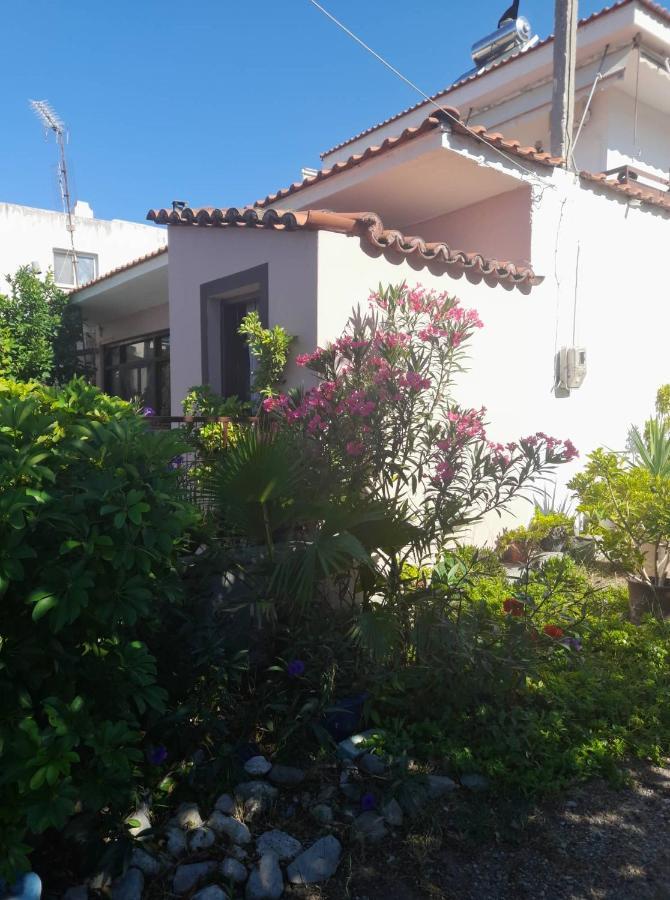 אגיוס גאורגיוס Aggeliki Studios מראה חיצוני תמונה